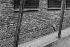 Torture Poles - Auschwitz 1