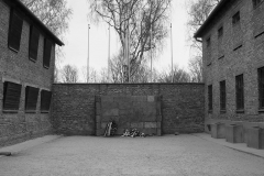 The Death Wall - Auschwitz 1