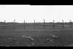 Left Or Right - Auschwitz II Birkenau Death Camp