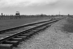 Looking Back - Auschwitz II Birkenau Death Camp