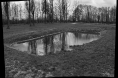 Reflecting Ashes - Auschwitz II Birkenau Death Camp